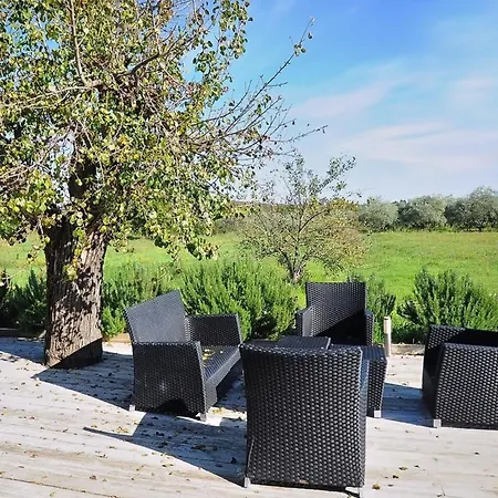 Holiday home Mit Privatpool Fuer 12 Personen Ca 250 Qm In Rovinj-cocaletto, Istrien Istrische Riviera Rovinj
